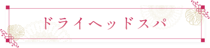 ドライヘッドスパ