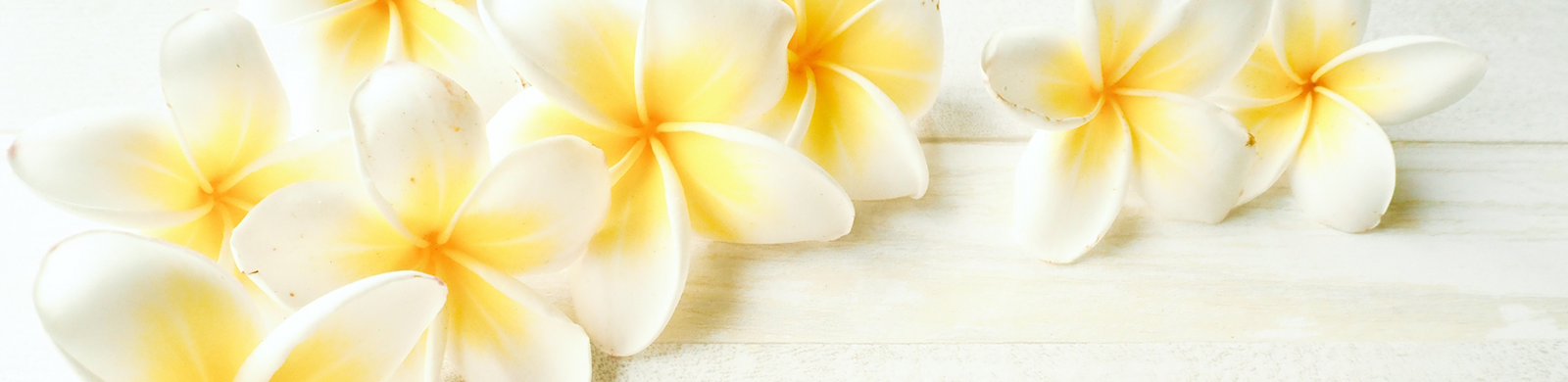 プライバシーポリシー